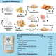 Dein Protein-Crumble Proben Bundle - 5x testen