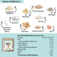 LOWER-CARB PROTEIN-SNACKS Spar-Angebot