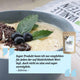 Bio Vanille-Proteinpulver aus Wheyproteinkonzentrat