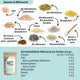 ABVERKAUF Knäckebrot-Backmischung – Bio, lower-carb* glutenfrei, vegan, eiweiß- und ballaststoffreich