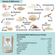 WRAPS LOWER-CARB* BACKMISCHUNG – glutenfrei, vegan, bio, Sauerteig, für Wraps & Fladenbrot