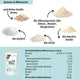 Bio Vegan Vanille Shake mit Protein aus Pflanzlichen Quellen