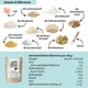 LOWER-CARB STARTER-SET - Gleich loslegen!