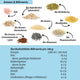 Bio Kernige Lower-Carb* Backmischung – glutenfrei, vegan, eiweiss- und ballaststoffreich