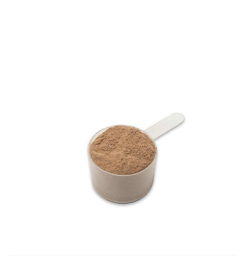 Bio Schoko-Proteinpulver aus Whey-Konzentrat